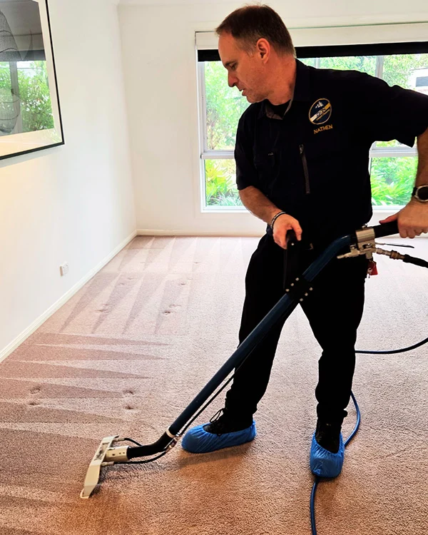 carpet-cleaning