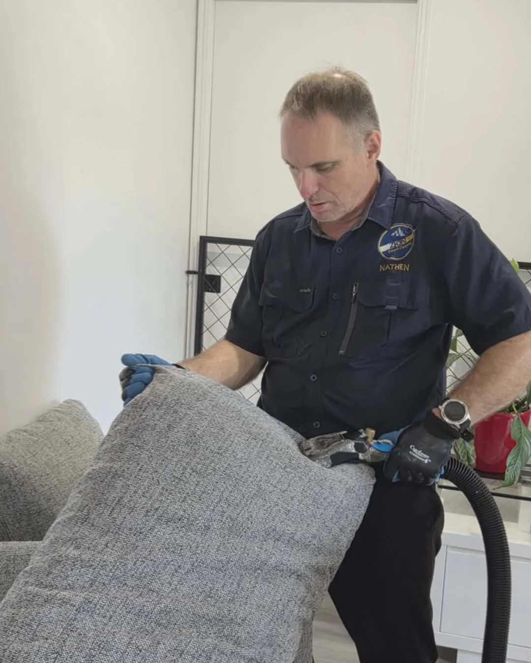 N Sofa cleaning pic custom website design Brisbane