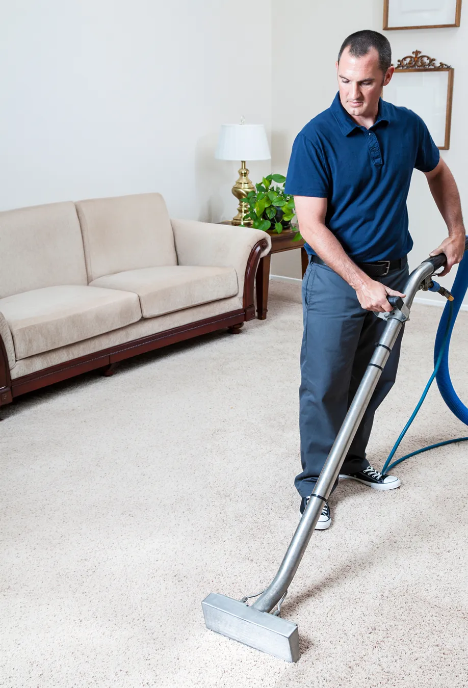 carpet-cleaning1 custom website design Brisbane