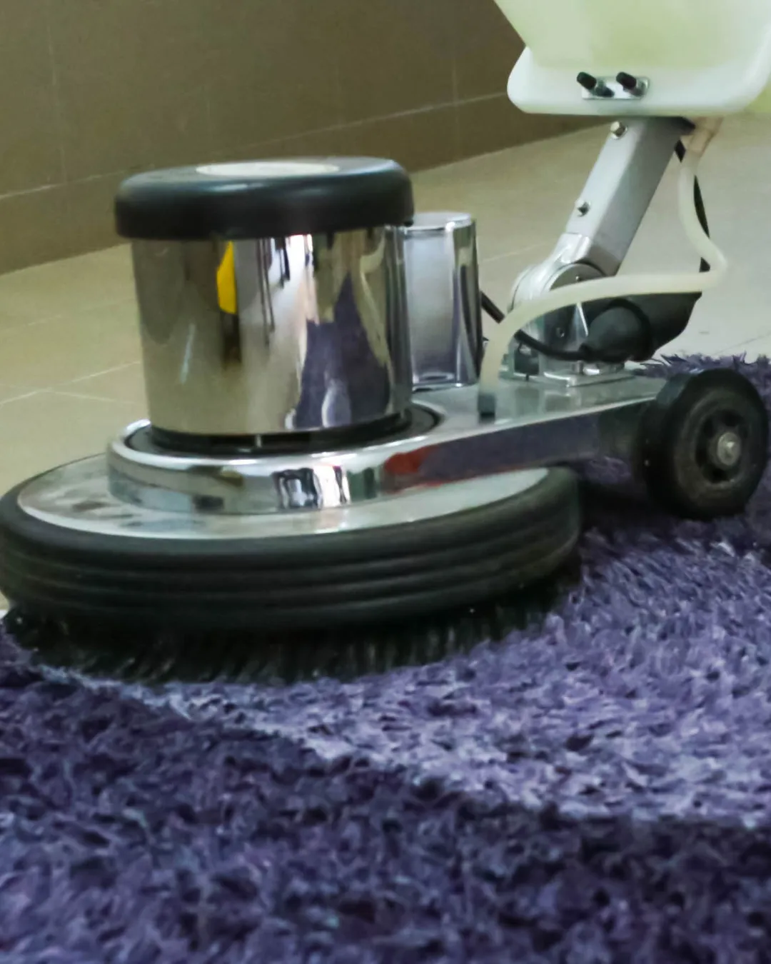 carpet-cleaning2 custom website design Brisbane