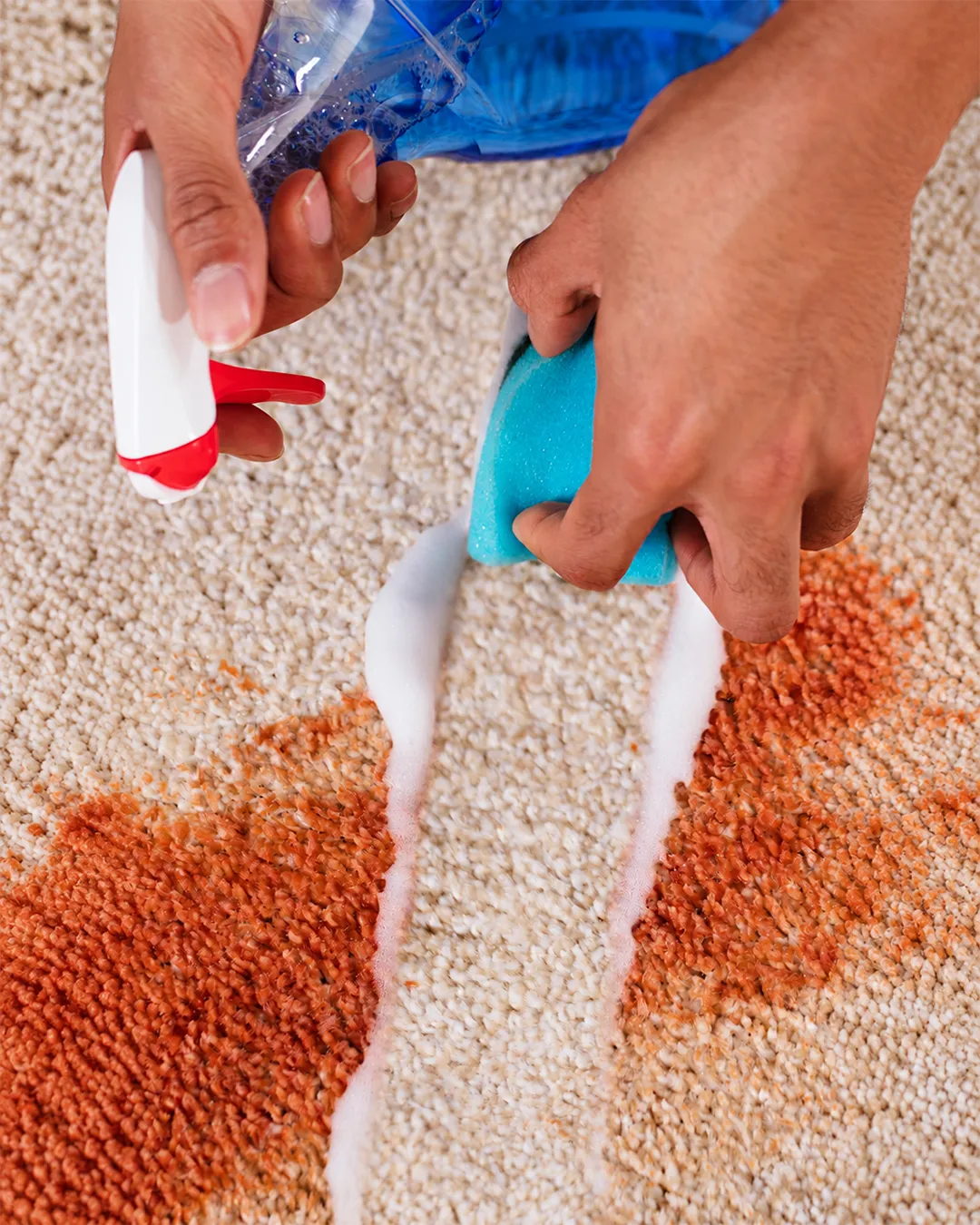 stain-treatment2 custom website design Brisbane